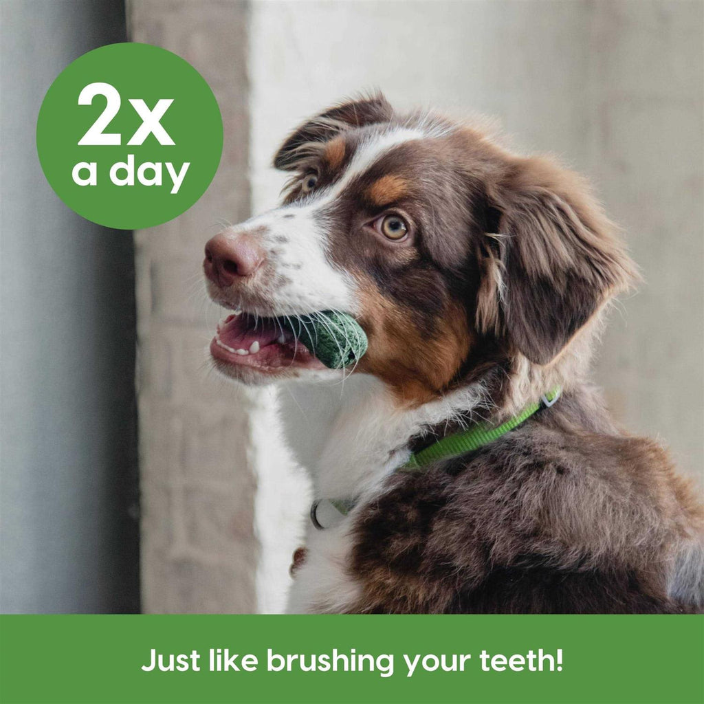 Brushless Toothpaste for Sensitive Gums X300769