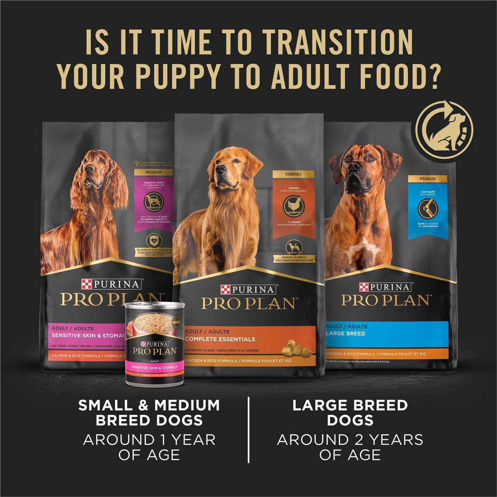 Puppy Small Breed Chicken & Rice Dry Dog Food B651728