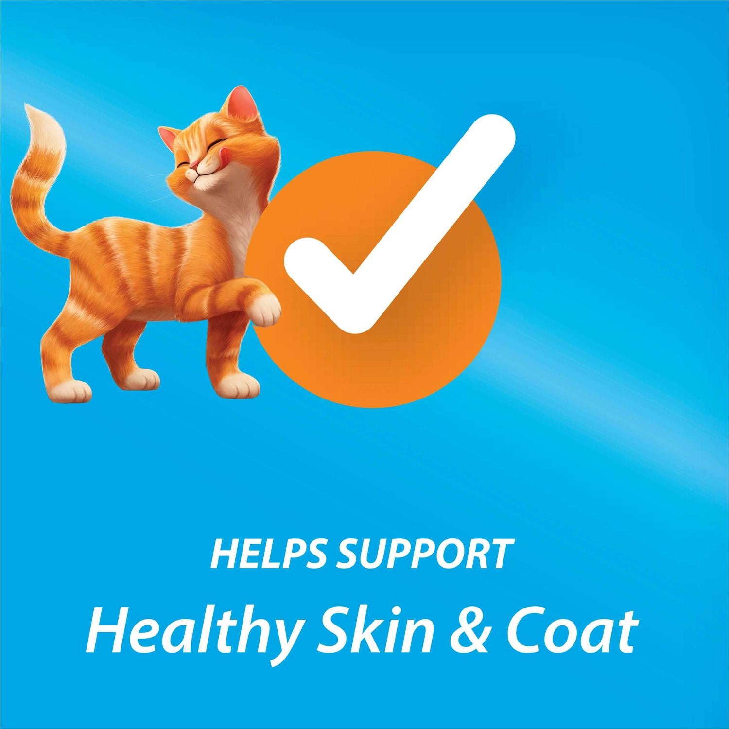 Dry Cat Food O351084