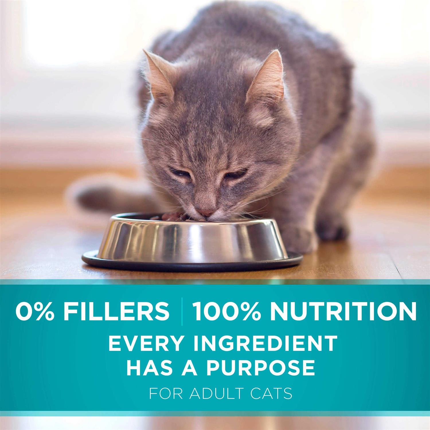 Dry Cat Food for Sensitive Skin & Stomach U5655