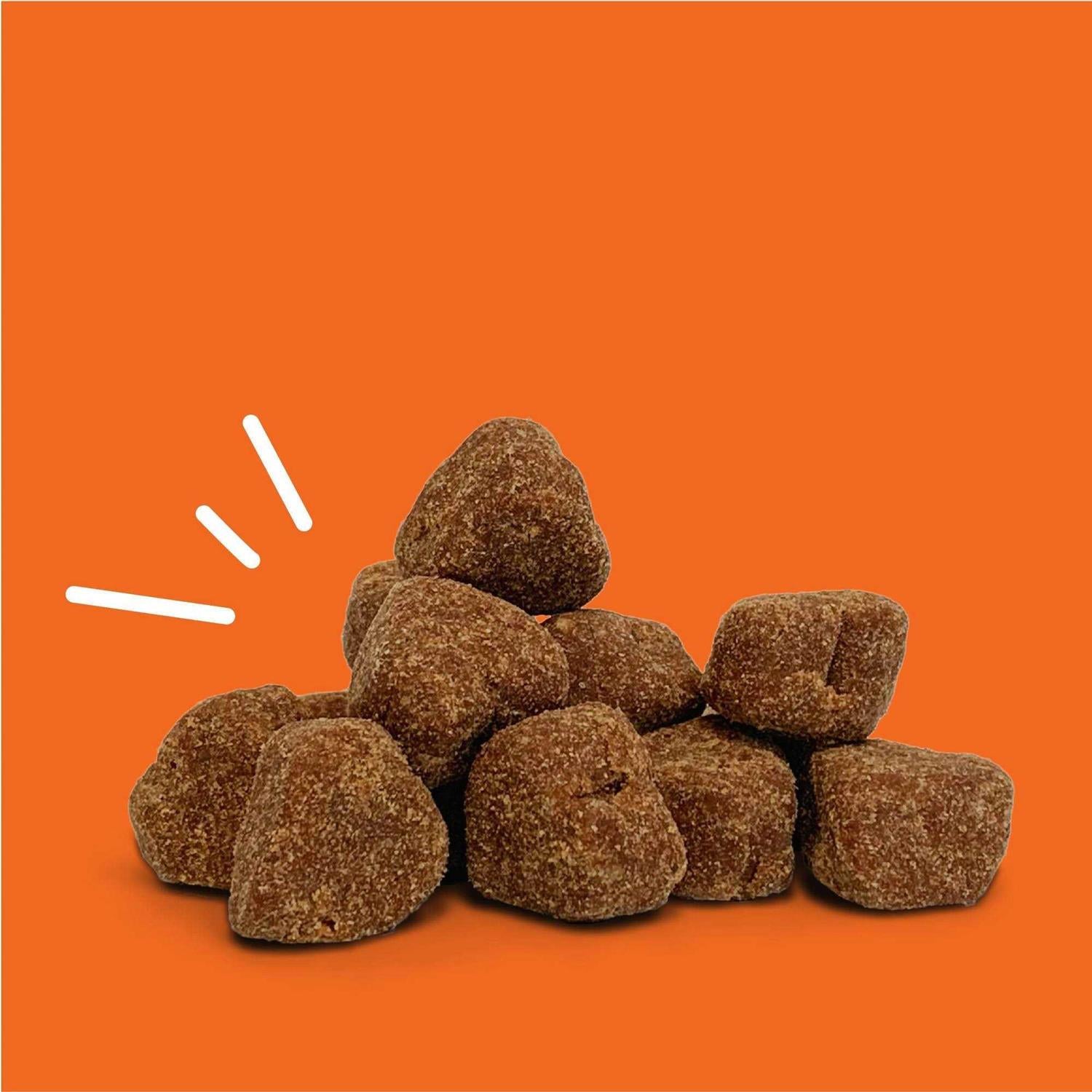 Probiotic Bites for Pets Z343