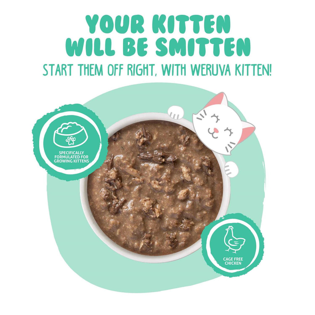 Kitten Chicken & Tuna in Gravy Wet Cat Food T60271