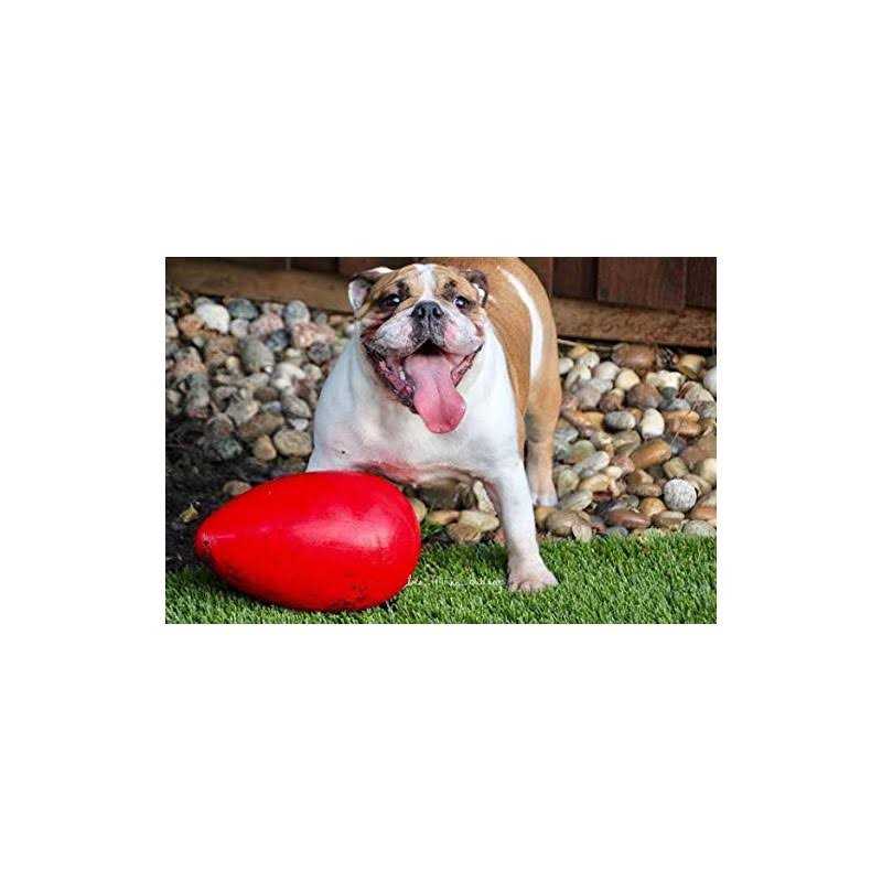 Pet Egg Toy V9444