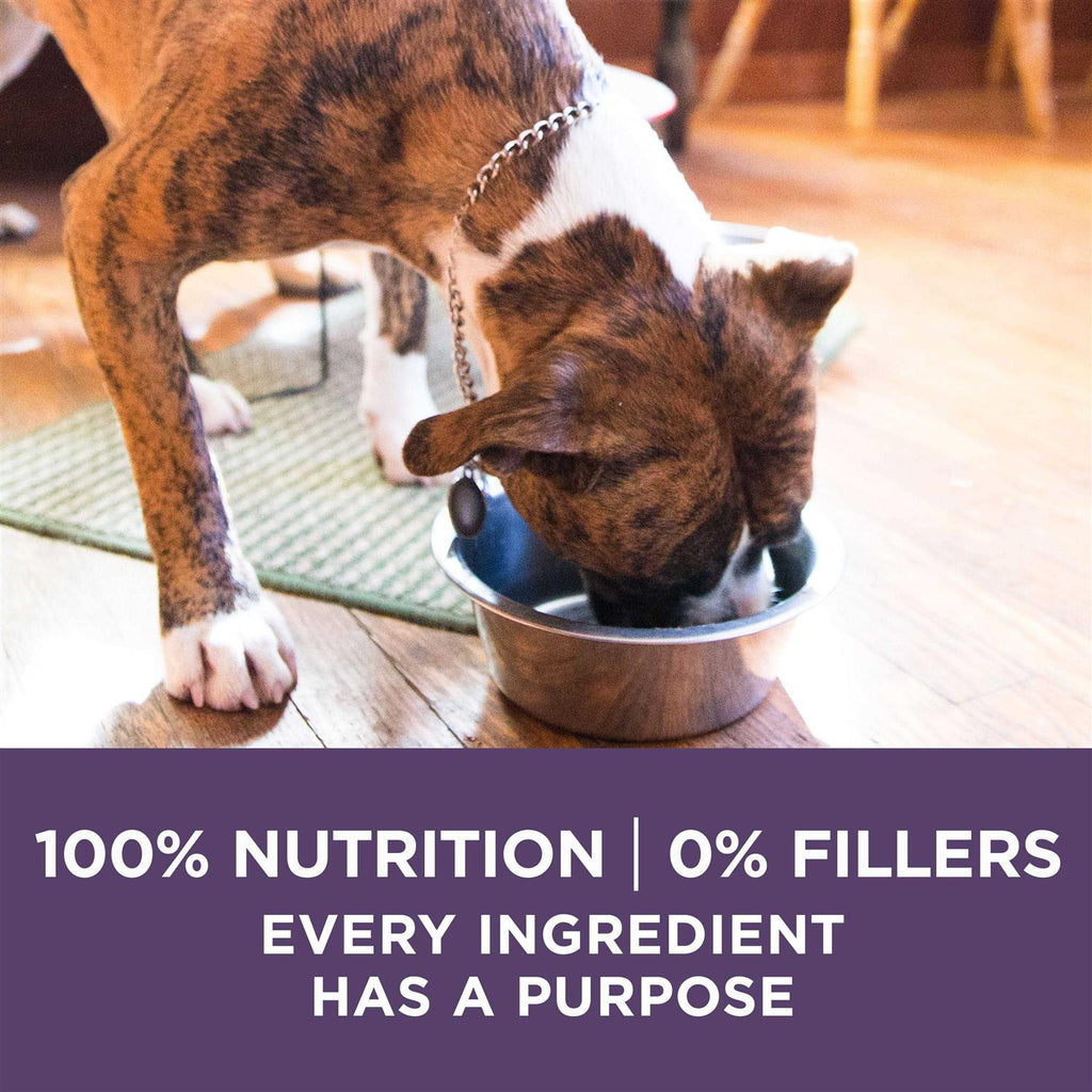Adult Dry Dog Food for Senior Dogs O9422