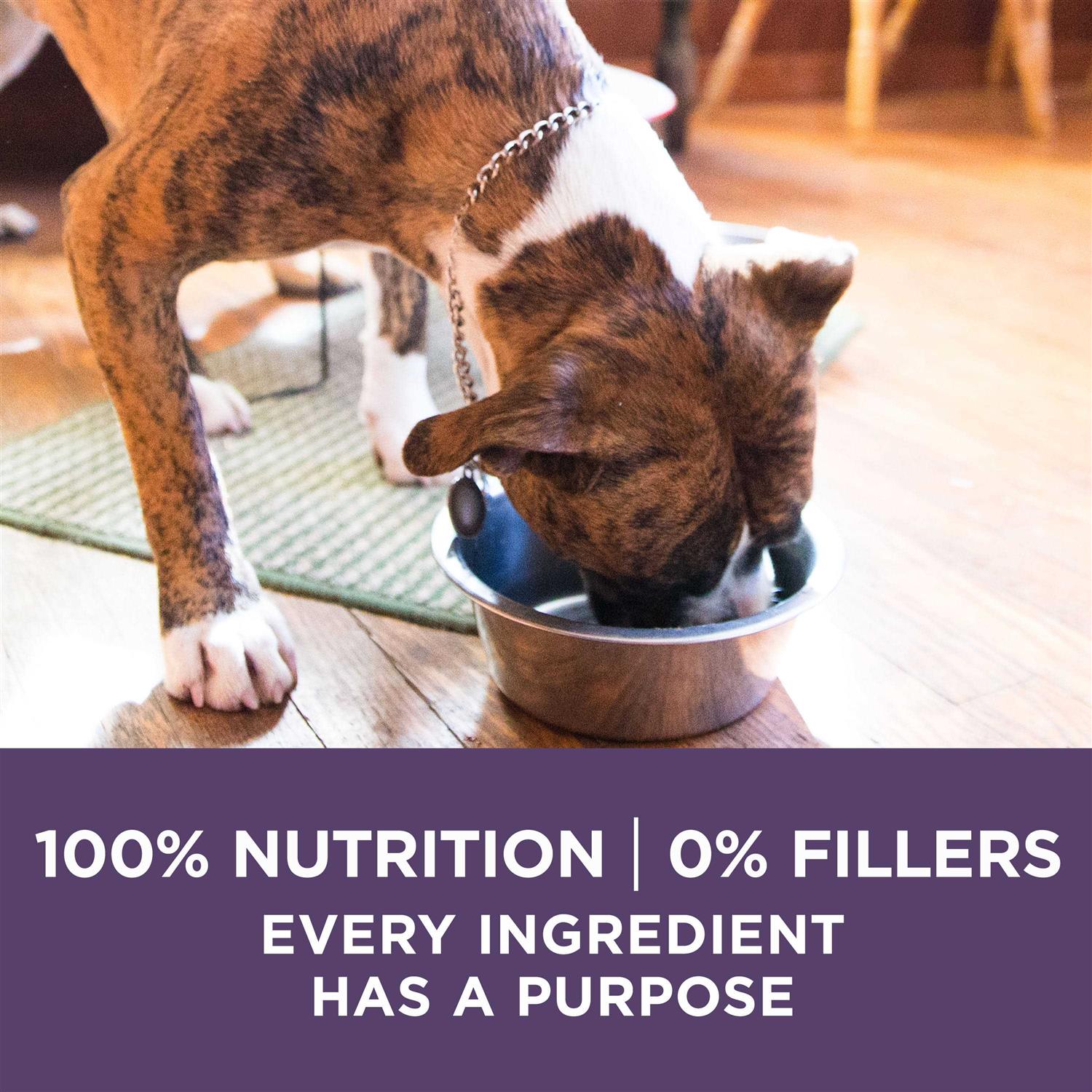 Adult Dry Dog Food for Senior Dogs O9422