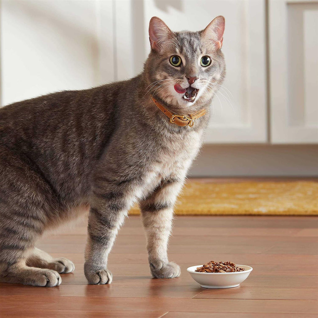 Tender Favorites Wet Cat Food G6876