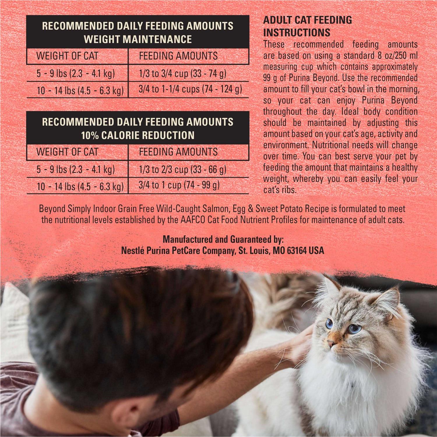 Indoor Salmon Dry Cat Food L310