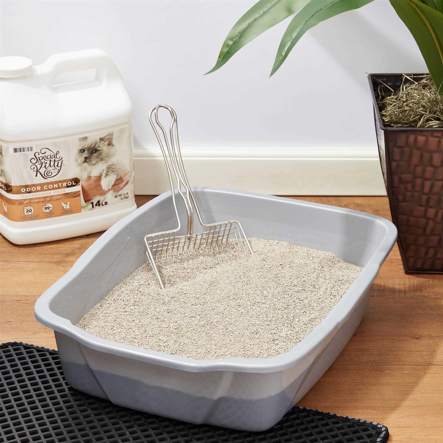 Odor Control Tight Clumping Cat Litter L1174