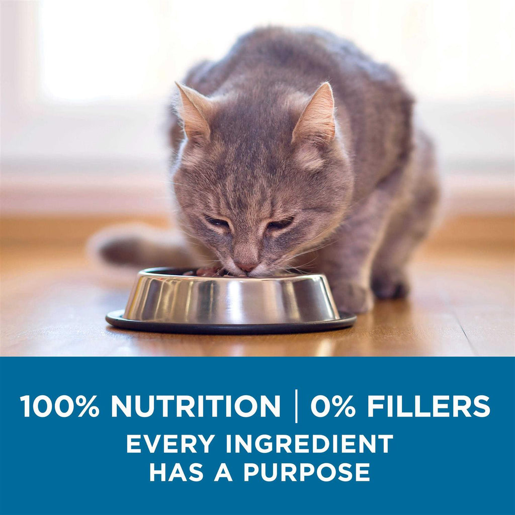 Senior Dry Cat Food for Older Cats G2199