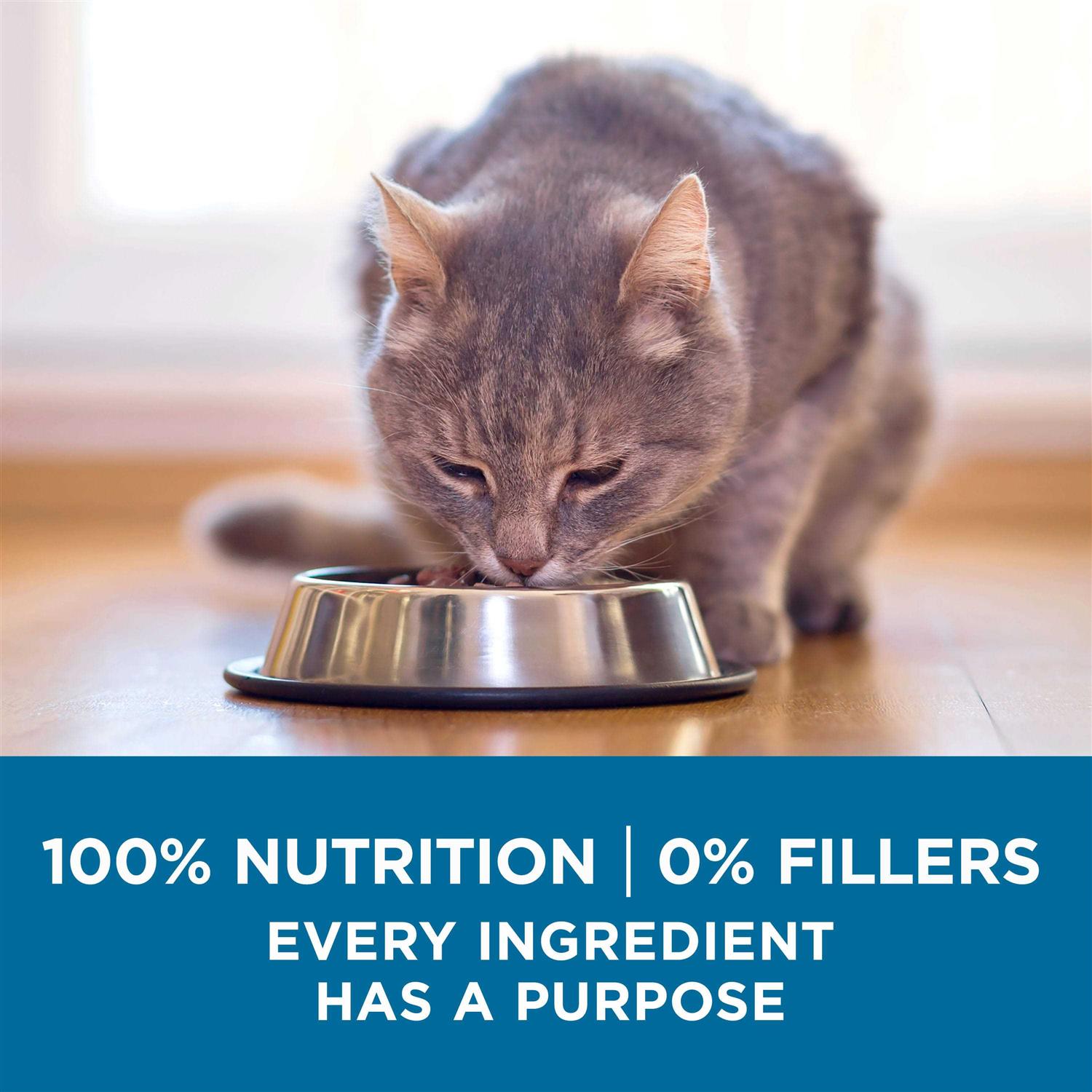 Senior Dry Cat Food for Older Cats G2199