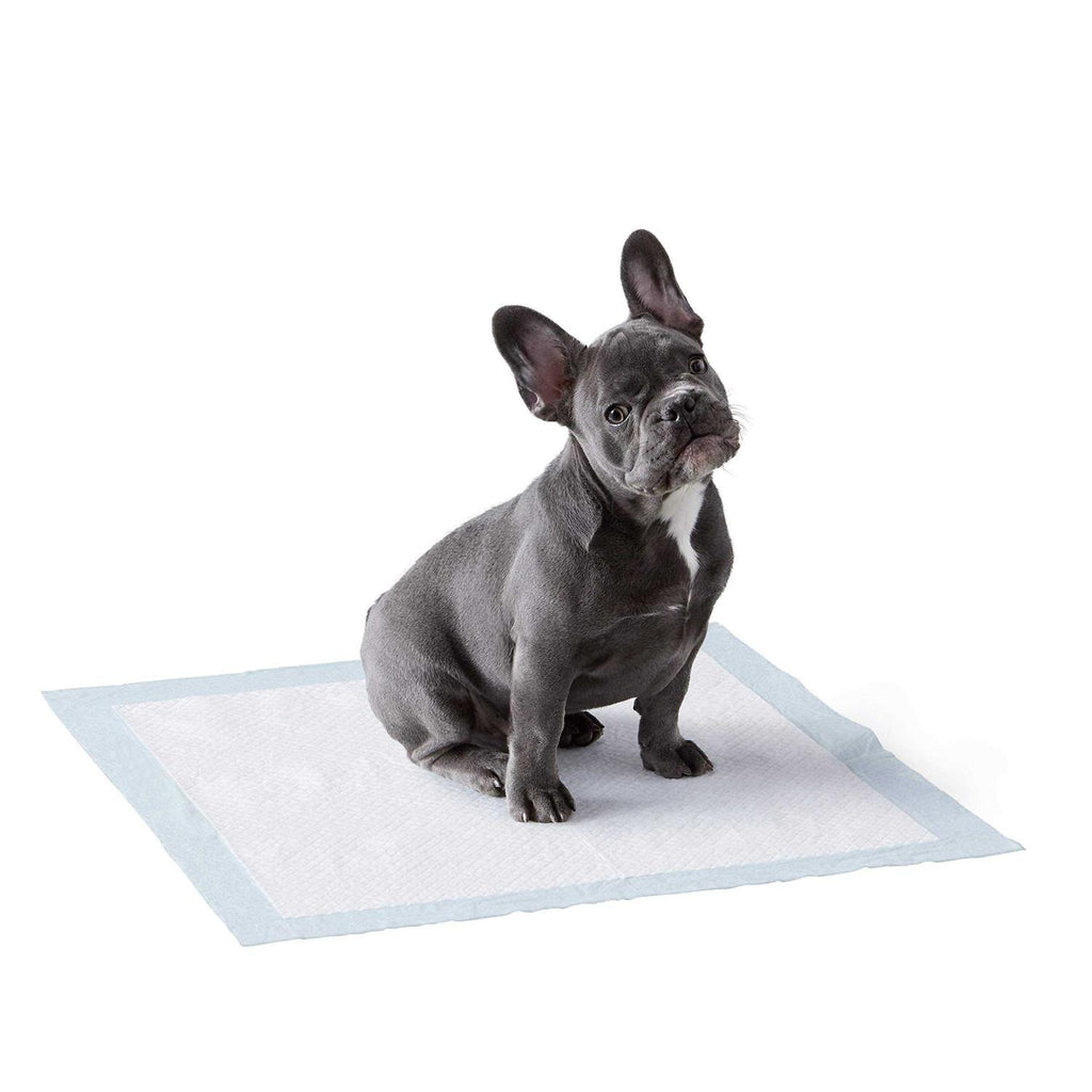 Dog and Puppy Pee Pads with Leak-proof Quick-dry Surface for Potty Training H298