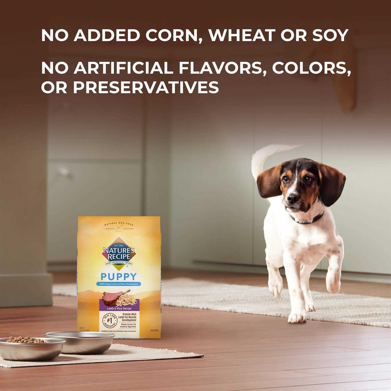 Puppy Dry Dog Food Lamb & Rice Y923491