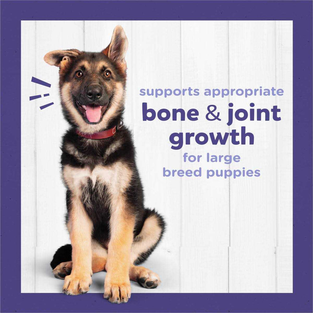 Large Breed Dry Puppy Food with Real Chicken D82399