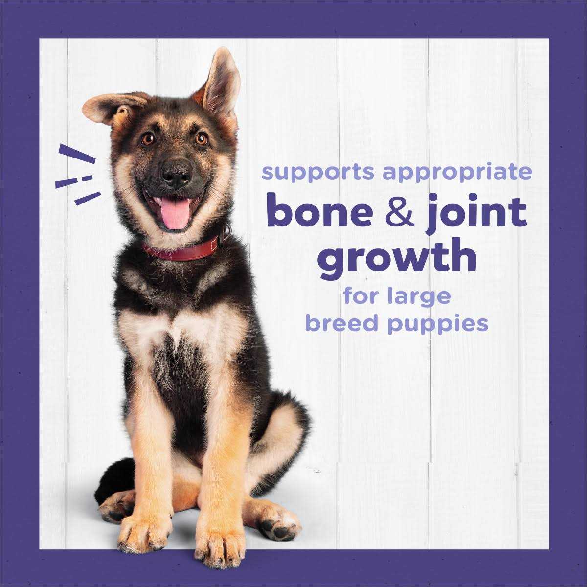 Large Breed Dry Puppy Food with Real Chicken D82399