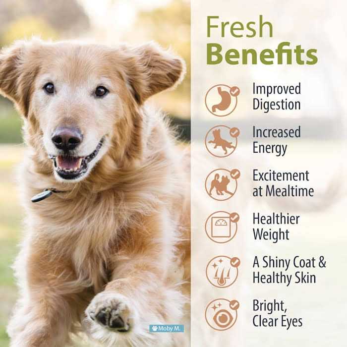 Renal Support Low Protein Diet for Dogs F3802