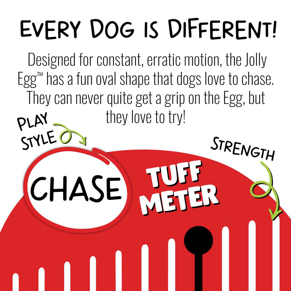Pet Egg Toy V9444