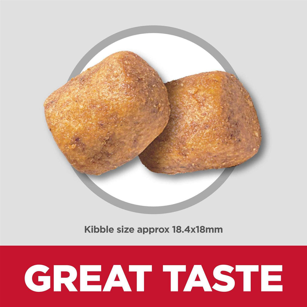 Adult Oral Care Small & Mini Chicken Recipe Dry Dog Food A923036
