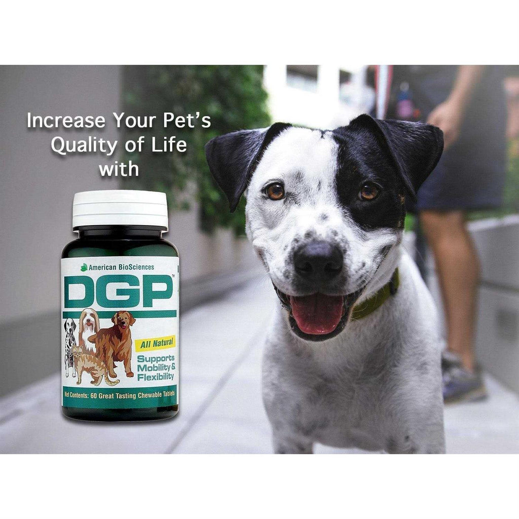 Pet Digestive Health Supplement L12172