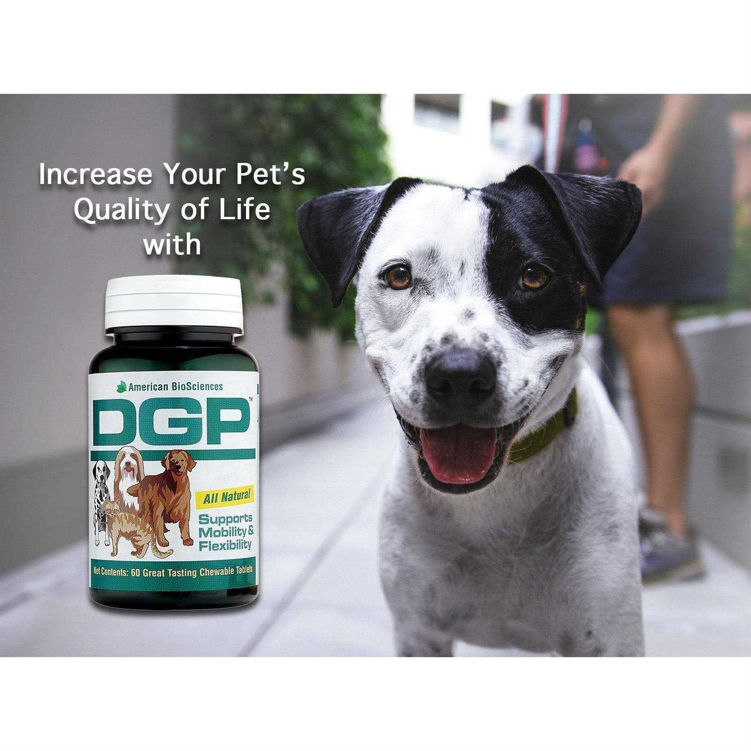 Pet Digestive Health Supplement L12172
