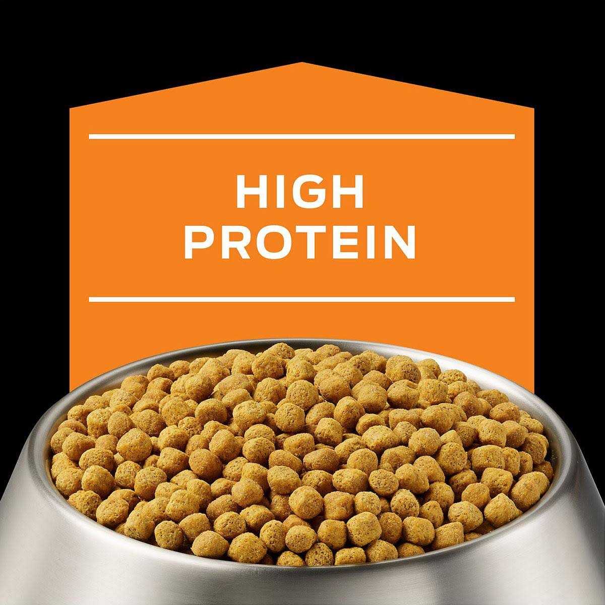 Overweight Management Dry Dog Food D94583