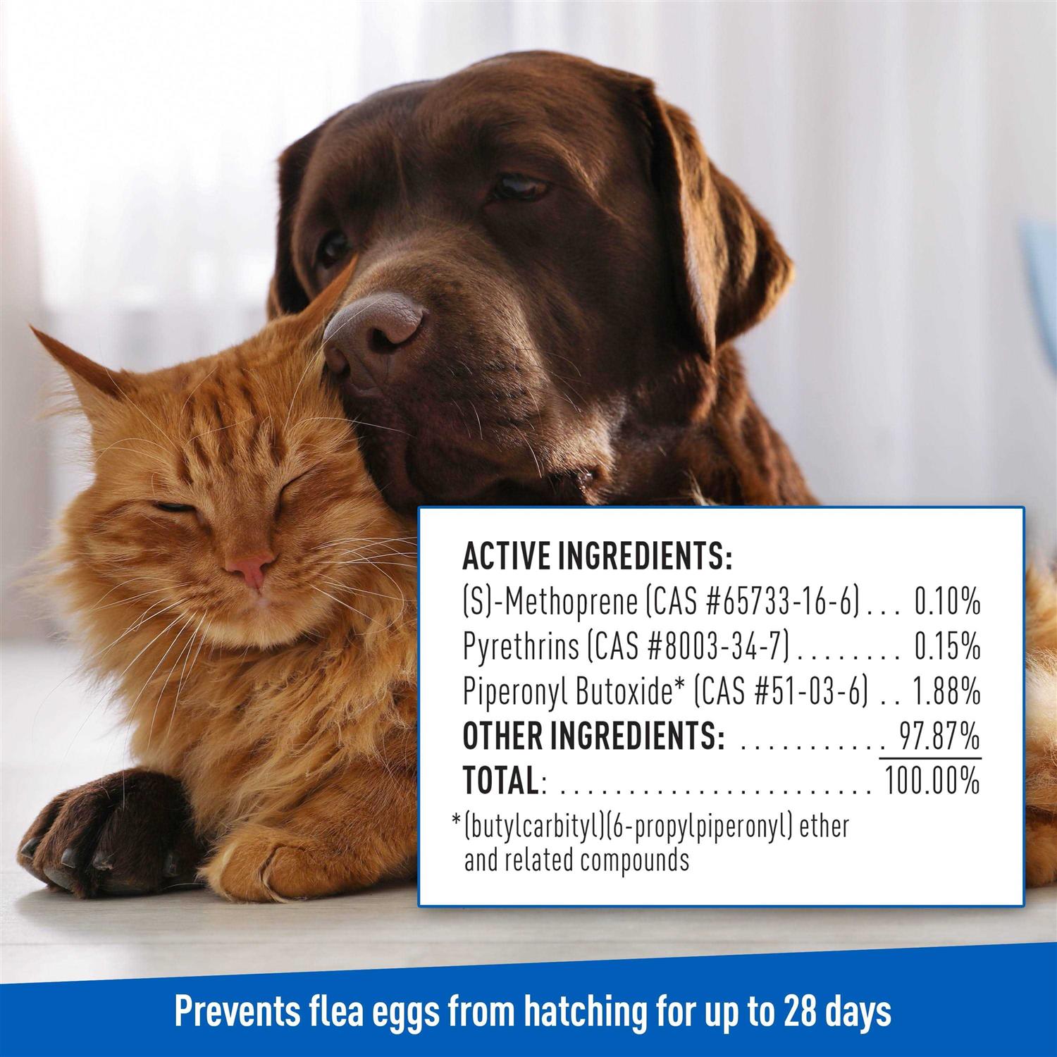 Flea and Tick Shampoo for Dogs and Cats H2778