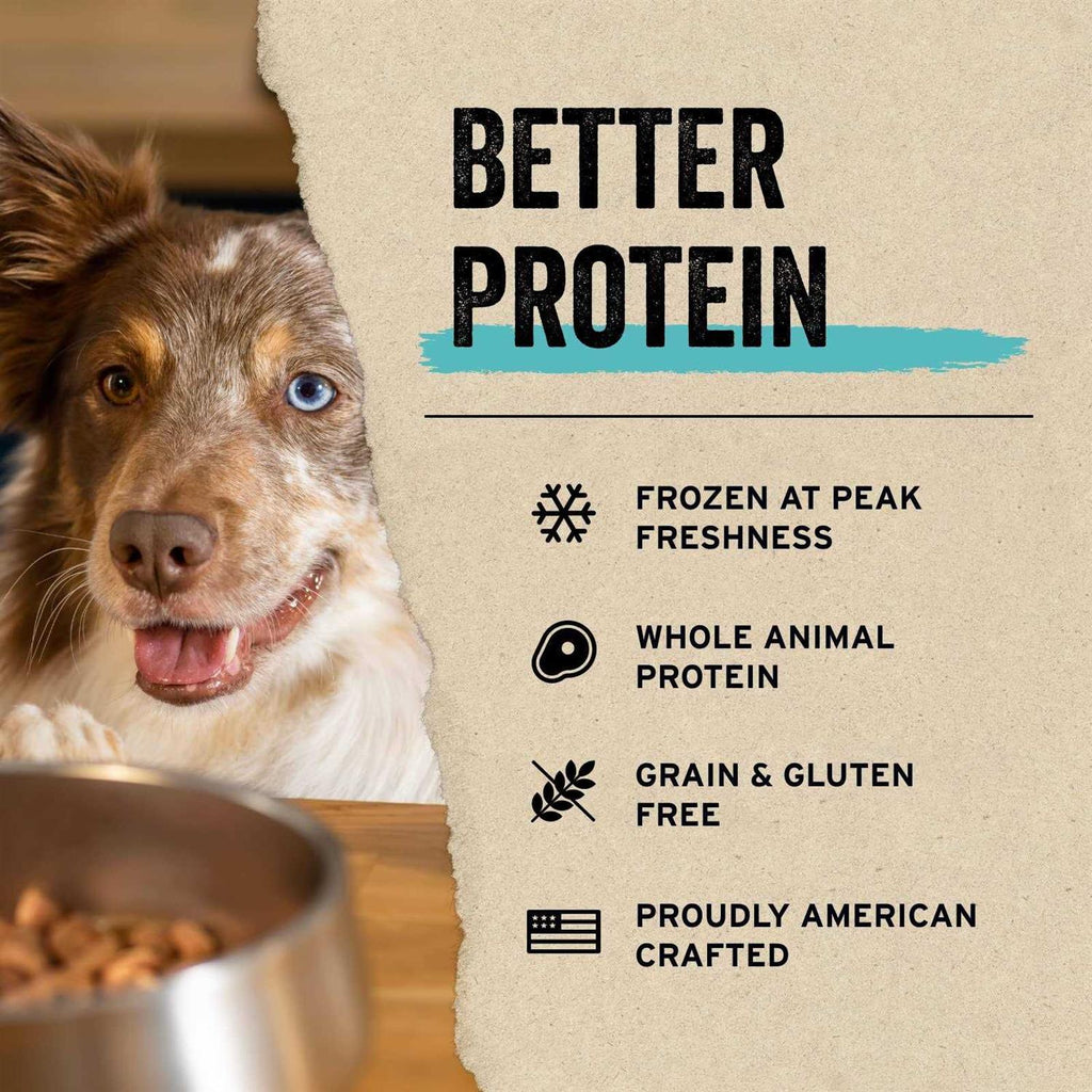 Freeze Dried Beef Bites Dog Treats U816934