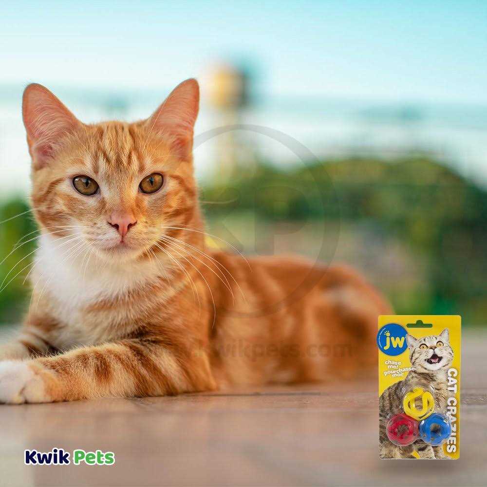 Cat Toy D649149