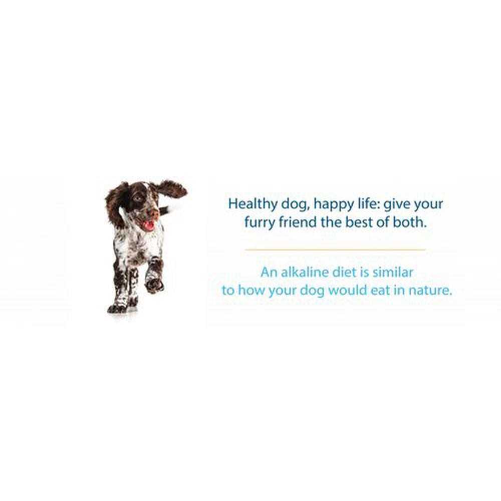 Limited Ingredient Dry Dog Food for All Life Stages K956051