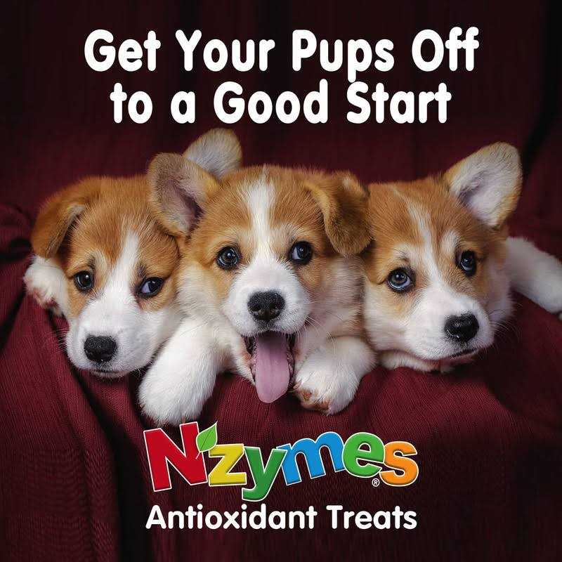 Antioxidant Treats for Pets Z7672