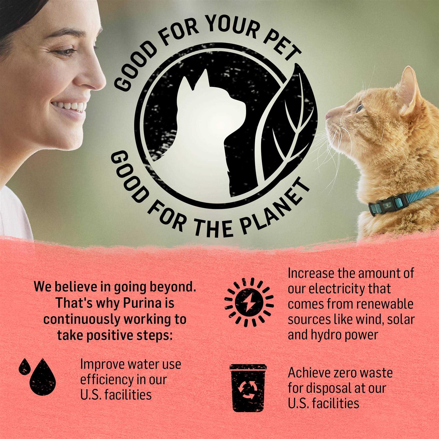 Cat Dry Food E6764