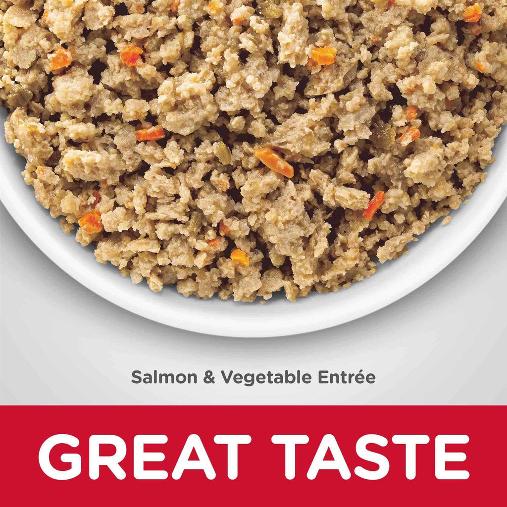 Sensitive Stomach & Skin Adult Dry Dog Food Z16182