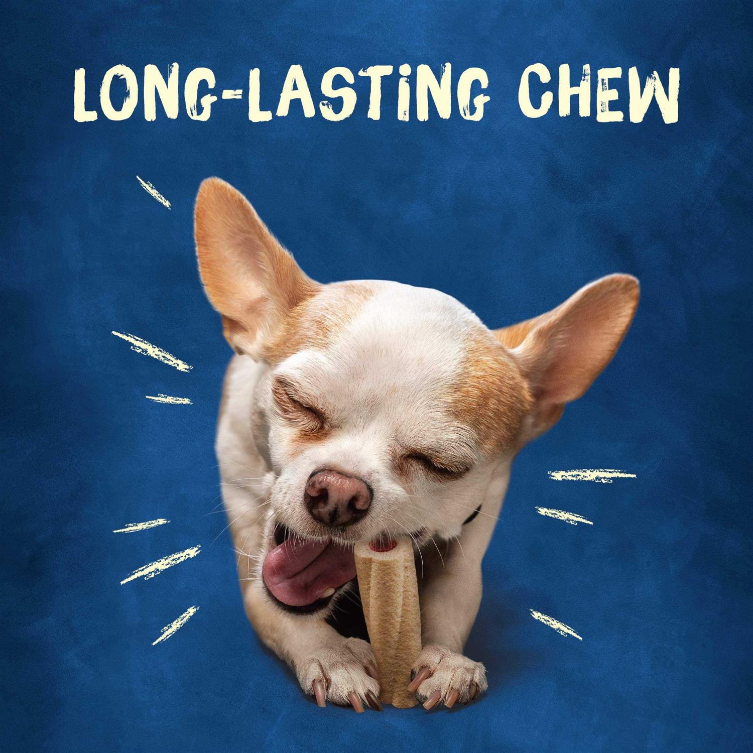 Tiny Dog Treats Q649463