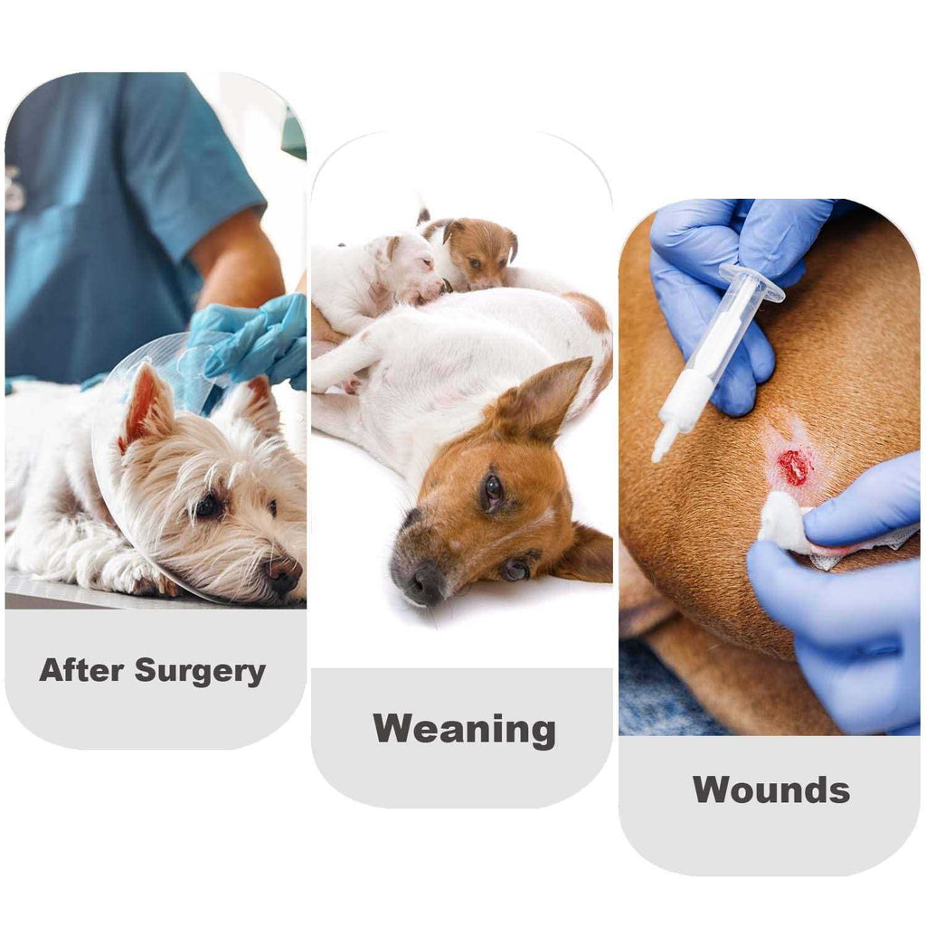 Dog Diapers Sanitary Panties Recovery Suit for Male and Female Dogs M554