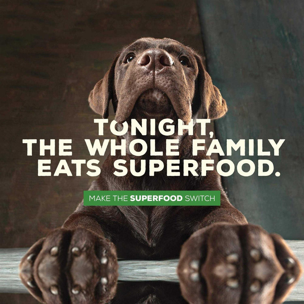 Grain Free Meal and Sweet Potato Recipe Dog Food P47435