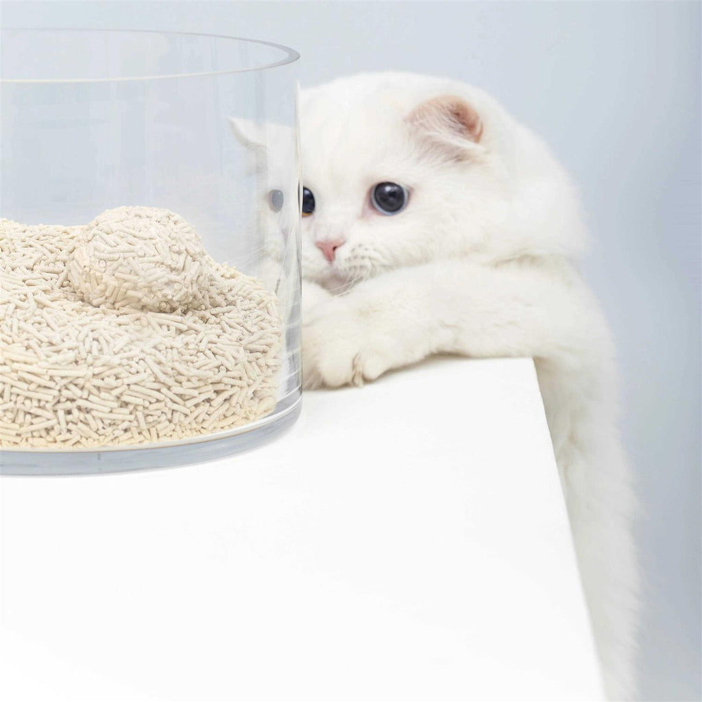 Natural Clumping Tofu Cat Litter 5.5lb V6377