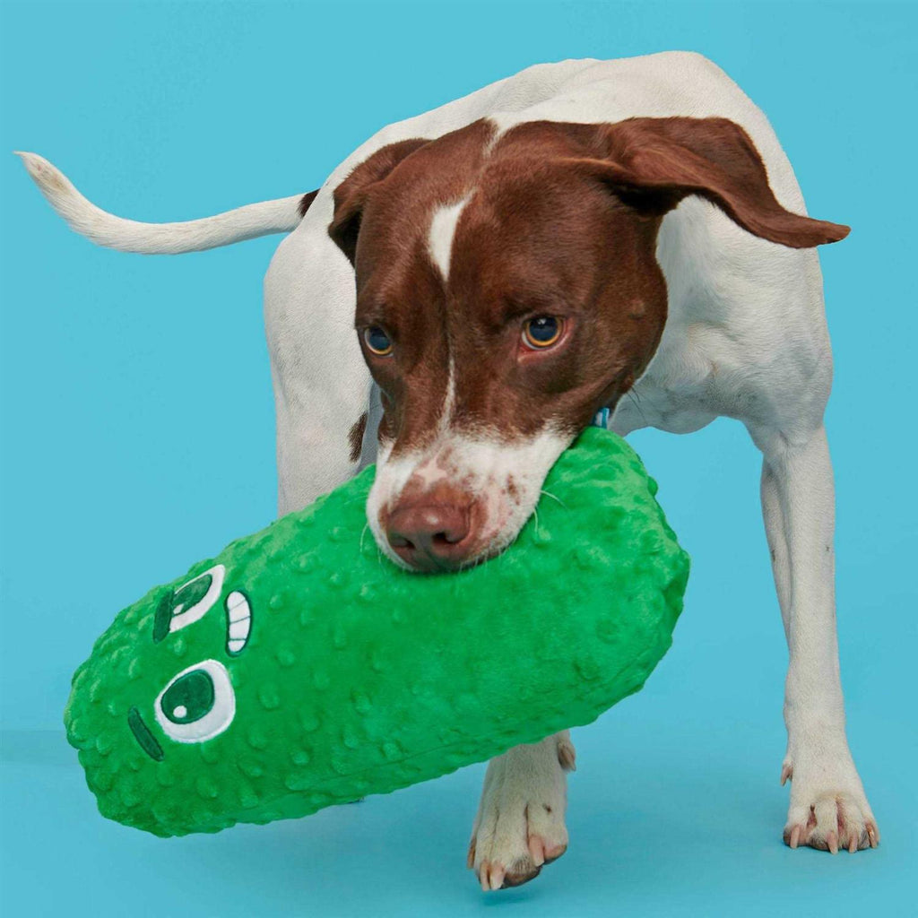 Big Dill Bill Dog Toy W52638