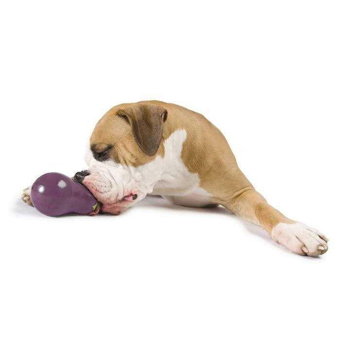 Dog Treat Dispensing Toy A8450