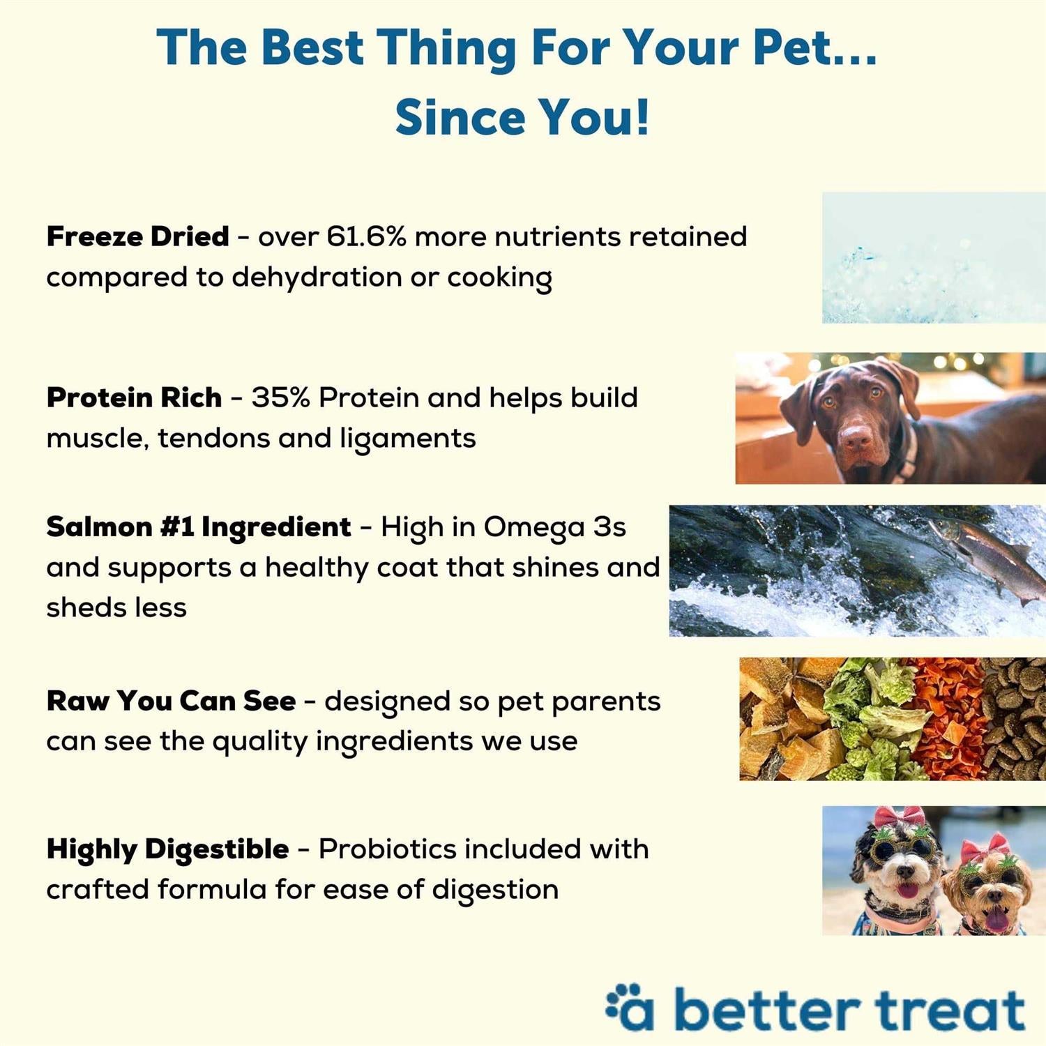 Salmon Raw Dog Food I19614