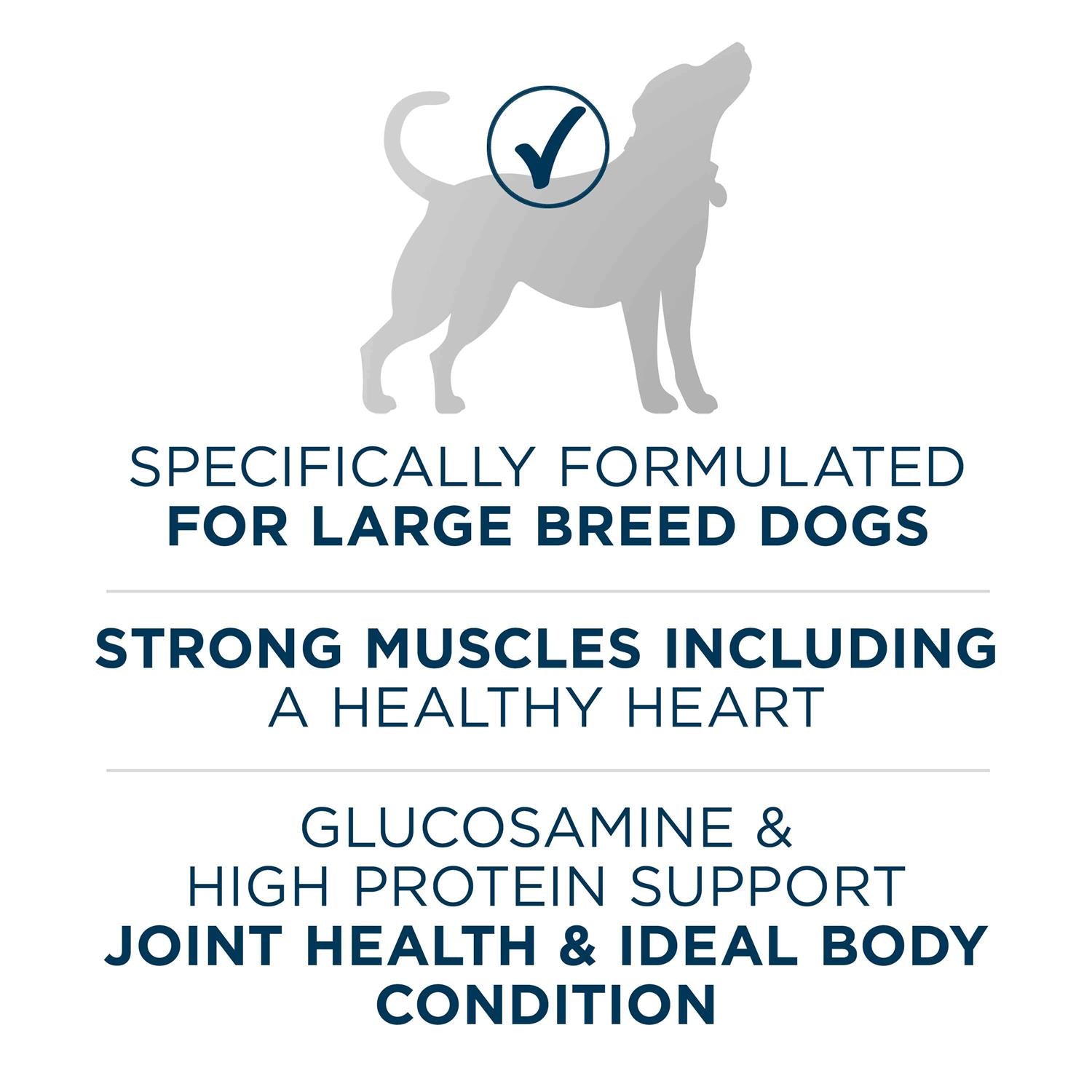Large Breed Adult Dry Dog Food X237