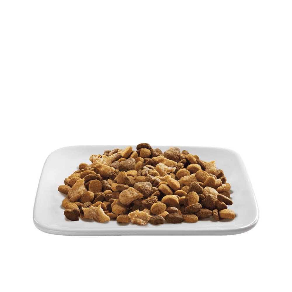 Indoor Hairball Control Dry Cat Food, Turkey & Rice Formula T99905