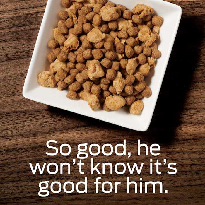 Overweight Management Dry Dog Food P33936