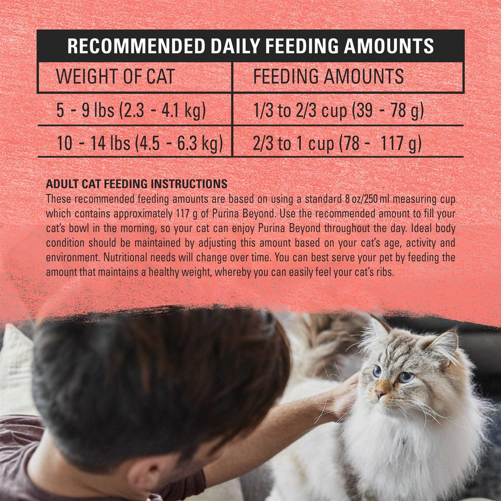 Cat Dry Food E6764