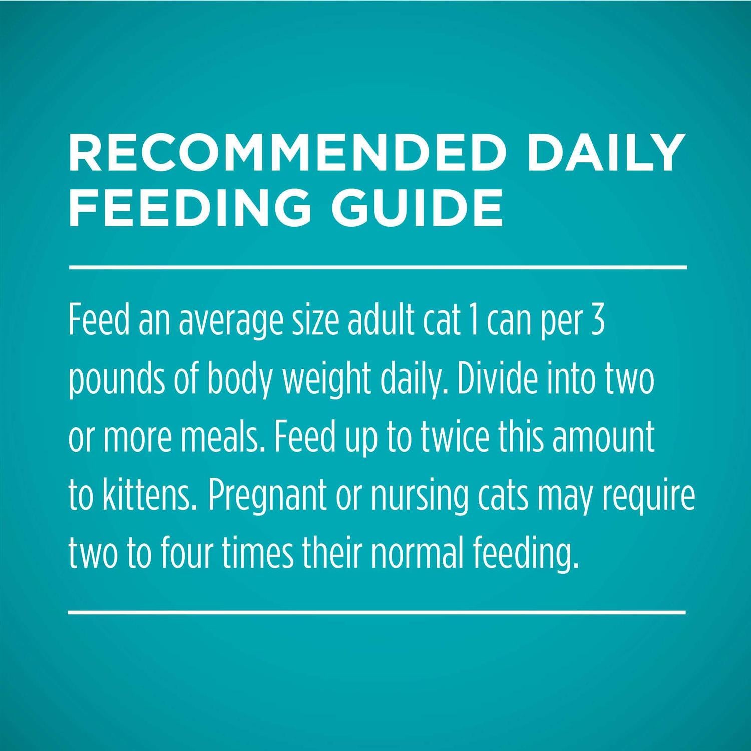 Cat Food M555