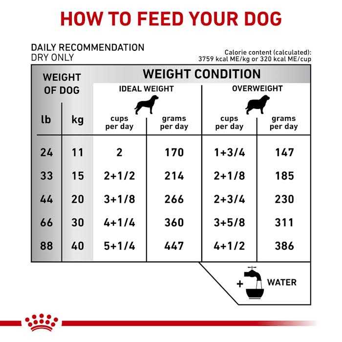 Veterinary Diet Canine Dental Dry Dog Food for Medium & Large Breeds Q570402