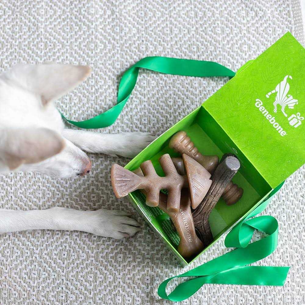 Dog Chew Toy Holiday 4 Pack H4840