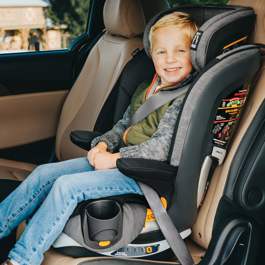 Harness + Booster Car Seat - Shadow (Black) I930260