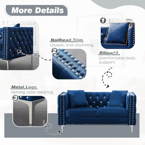 Velvet Loveseat Sofa for Living Room, 59 Inch Modern Upholstered with Pillows, Black A995