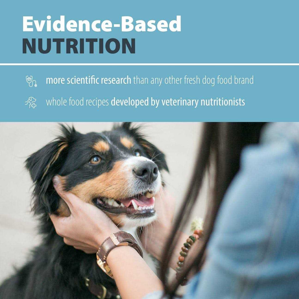 Balanced Remedy Frozen Dog Food G560000