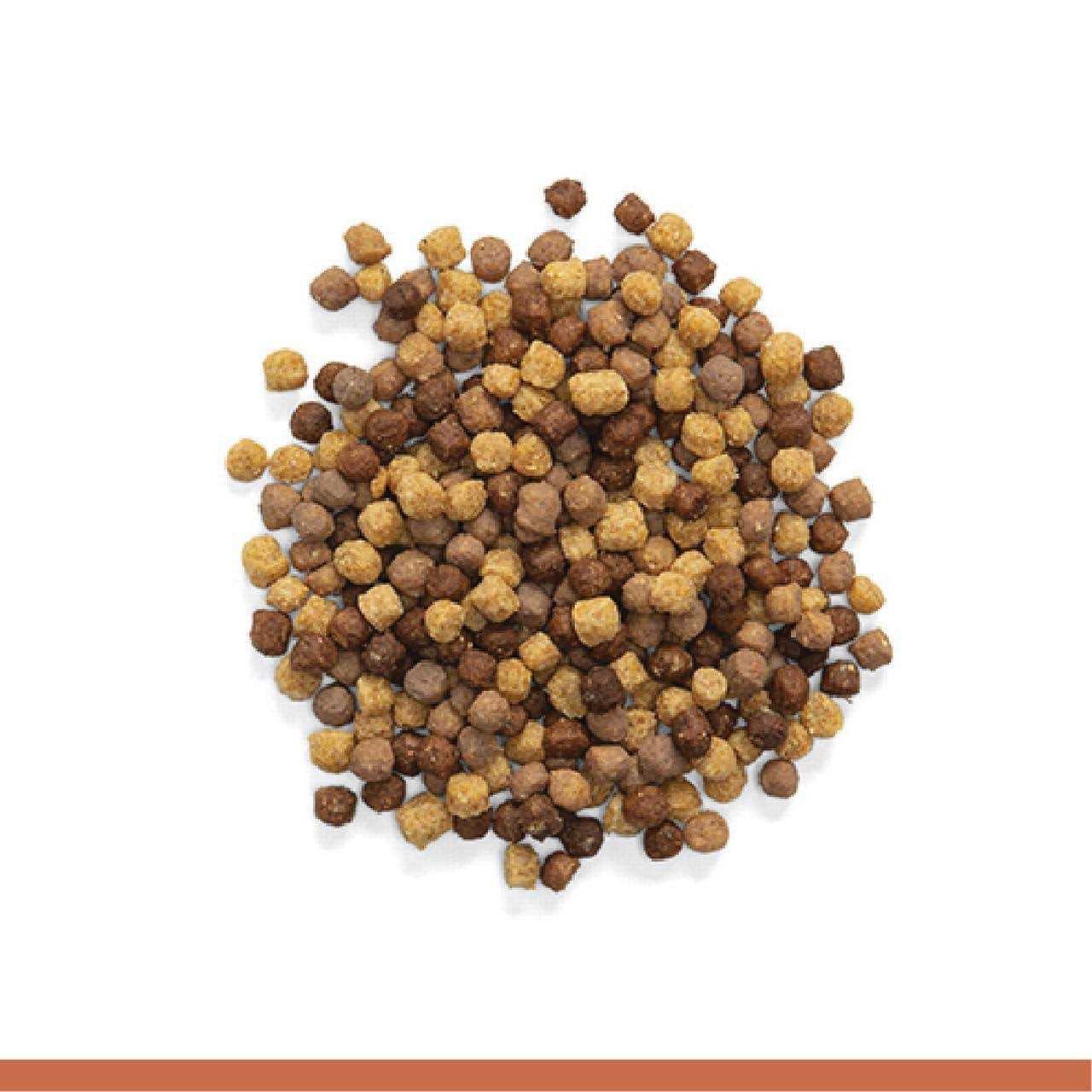 Medium Bird Food with Natural Nut Flavor M330
