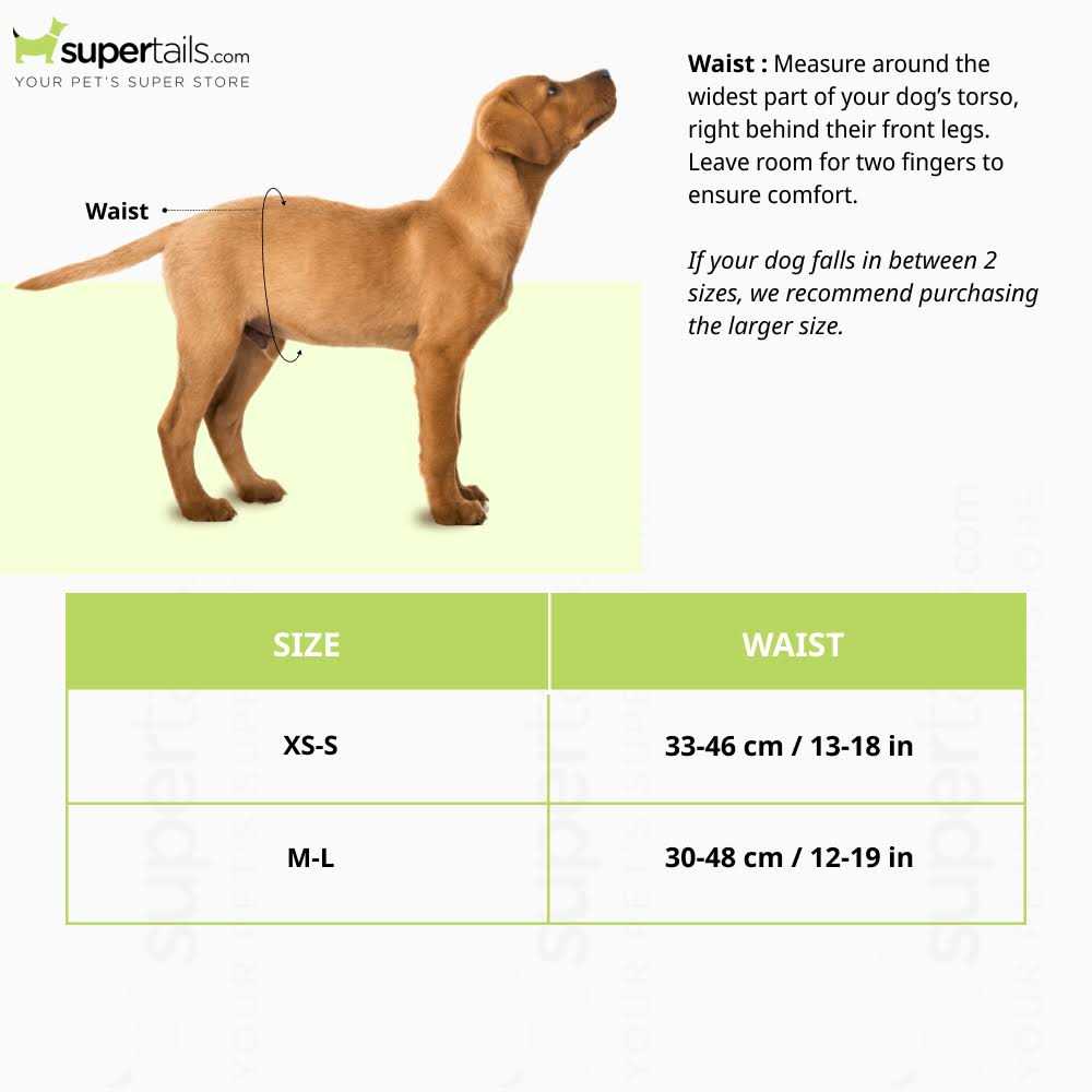 Disposable Male Dog Diapers B27375